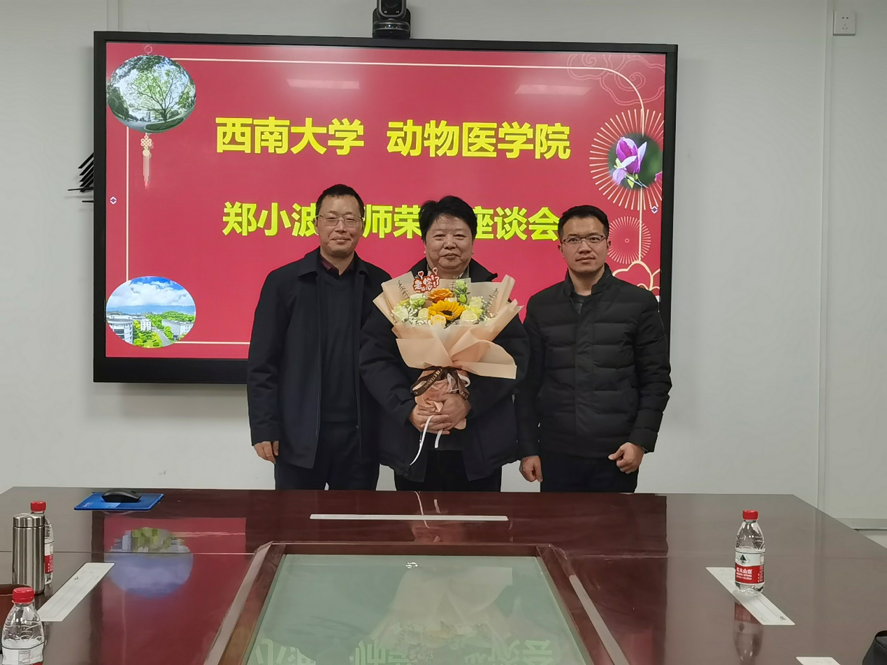 国产av影片
为郑小波老师举行退休座谈会