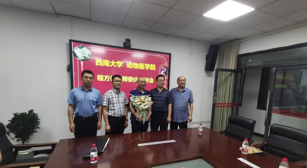 国产av影片
为程方俊老师举行退休座谈会